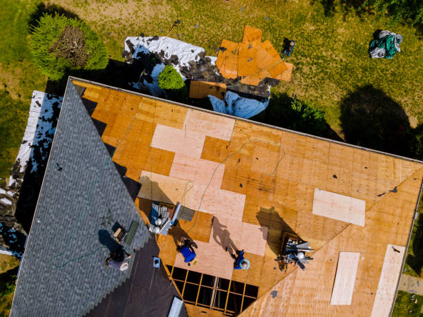 Best Roof Restoration Services  in Chico, TX