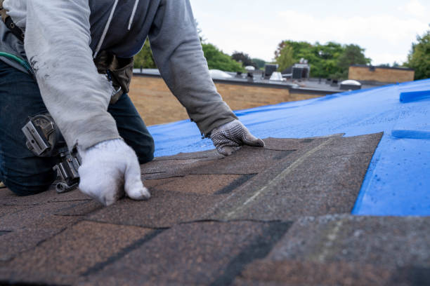 Roof Waterproofing Services in Chico, TX